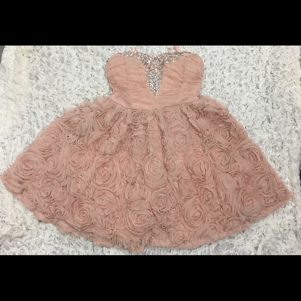 Trixxi Soft Pink Beaded Rose Party Dress